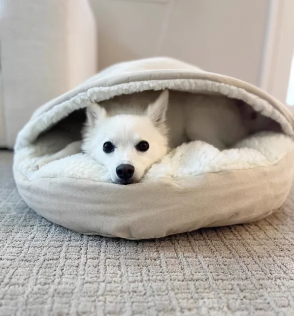 Large Size Deluxe Cave Bed Round Shape Pet Bed Soft Plush Cat Cave Bed with Hood 2-way Use Pet Mattress Dog Cushion