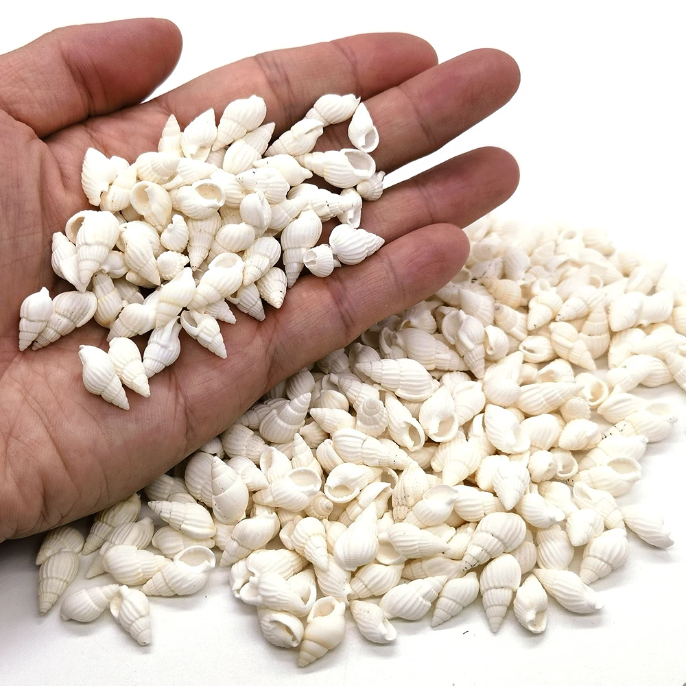 Natural Stones Crystals Quartz Chips Material Gravel Tiny Ocean Sea Shells Ore Bulk Lot Aquarium Home Desk Decor DIY Crafts