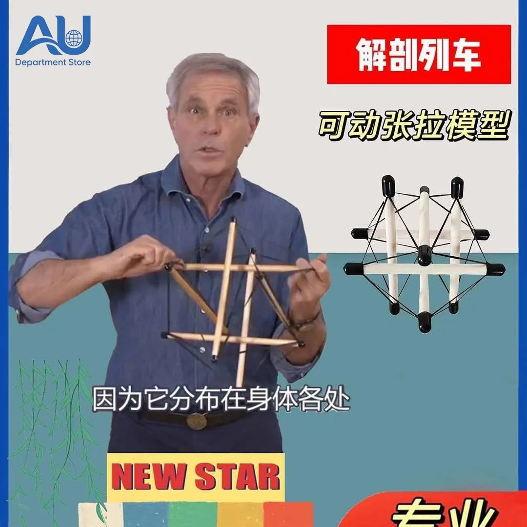 Tensile Body Teaching Aids for Tension Monolithic Model Structure Fascia Demonstration Dynamic 30-Axis Anatomy Train
