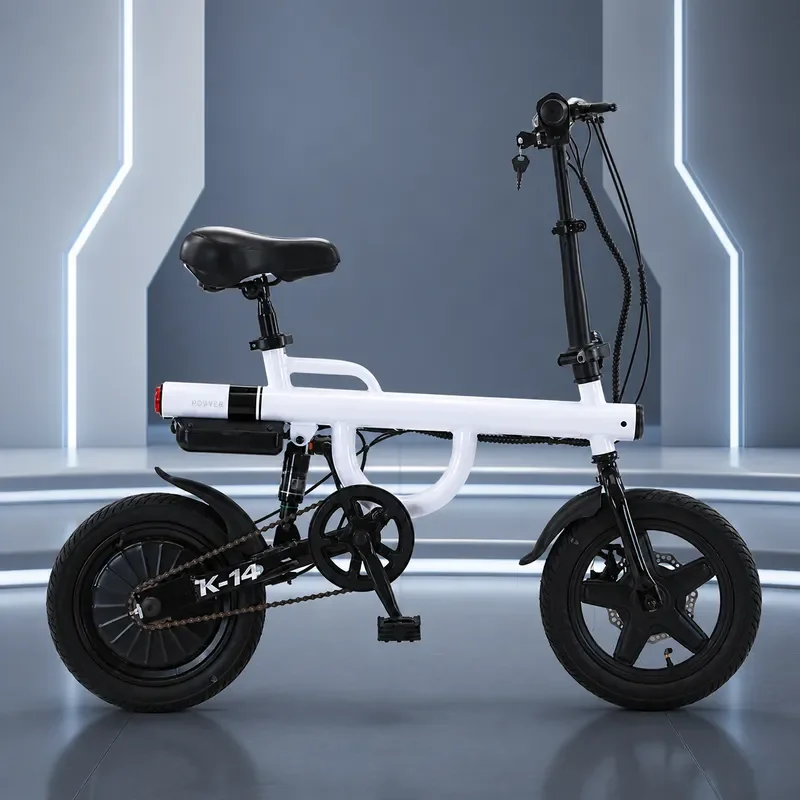 14 Inch Retro Folding Electric Bicycle 48V 350W Power E Bike Compact Design for Urban Commuting and Leisure Riding