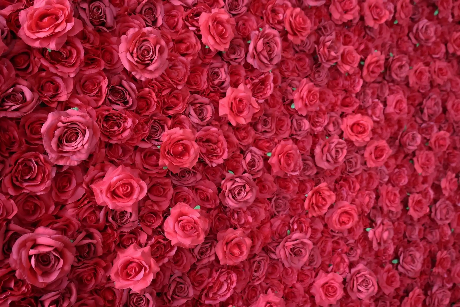 3D Classic red Flower Wall, Burgundry Artificial Rose Fabric Floral Wall, Outdoor Party Wedding Backdrop Decor, Window Display