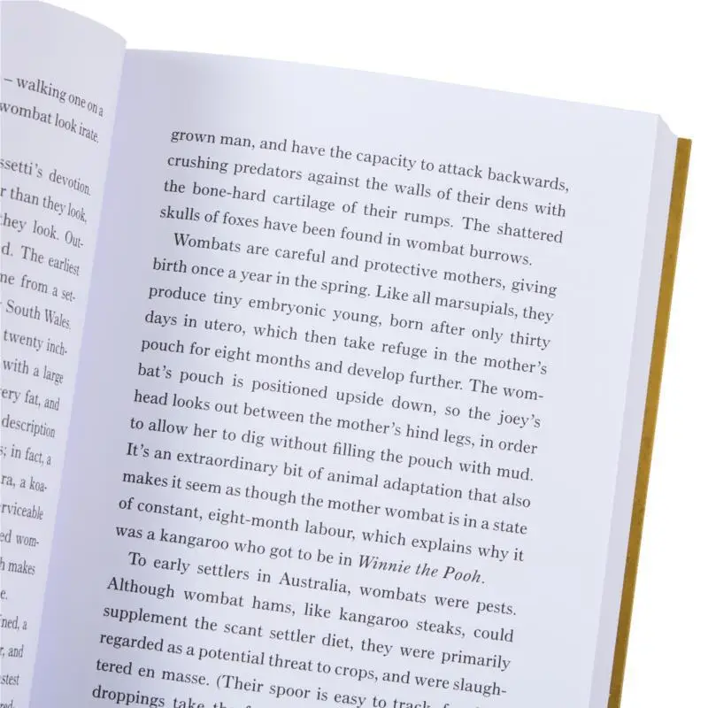 الخلد الذهبي وغيرها من الكنز التلاشي كاثرين رونديل فابر وفابر 9780571362509 كتاب