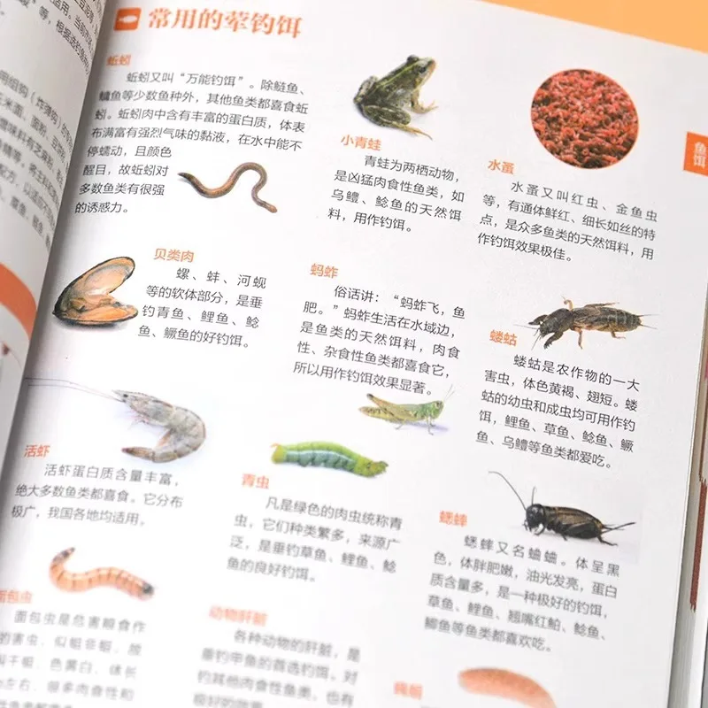 Fishing Knowledge Illustrated Guide, A Comprehensive Fishing Knowledge Book with Zero Basic Fishing Techniques