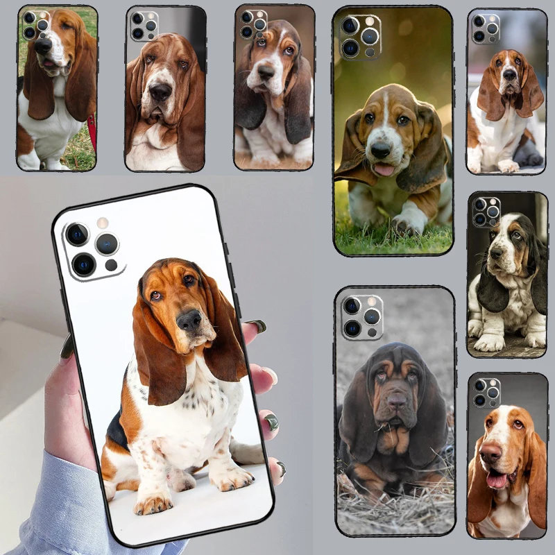 Basset Hound Dog Ca…