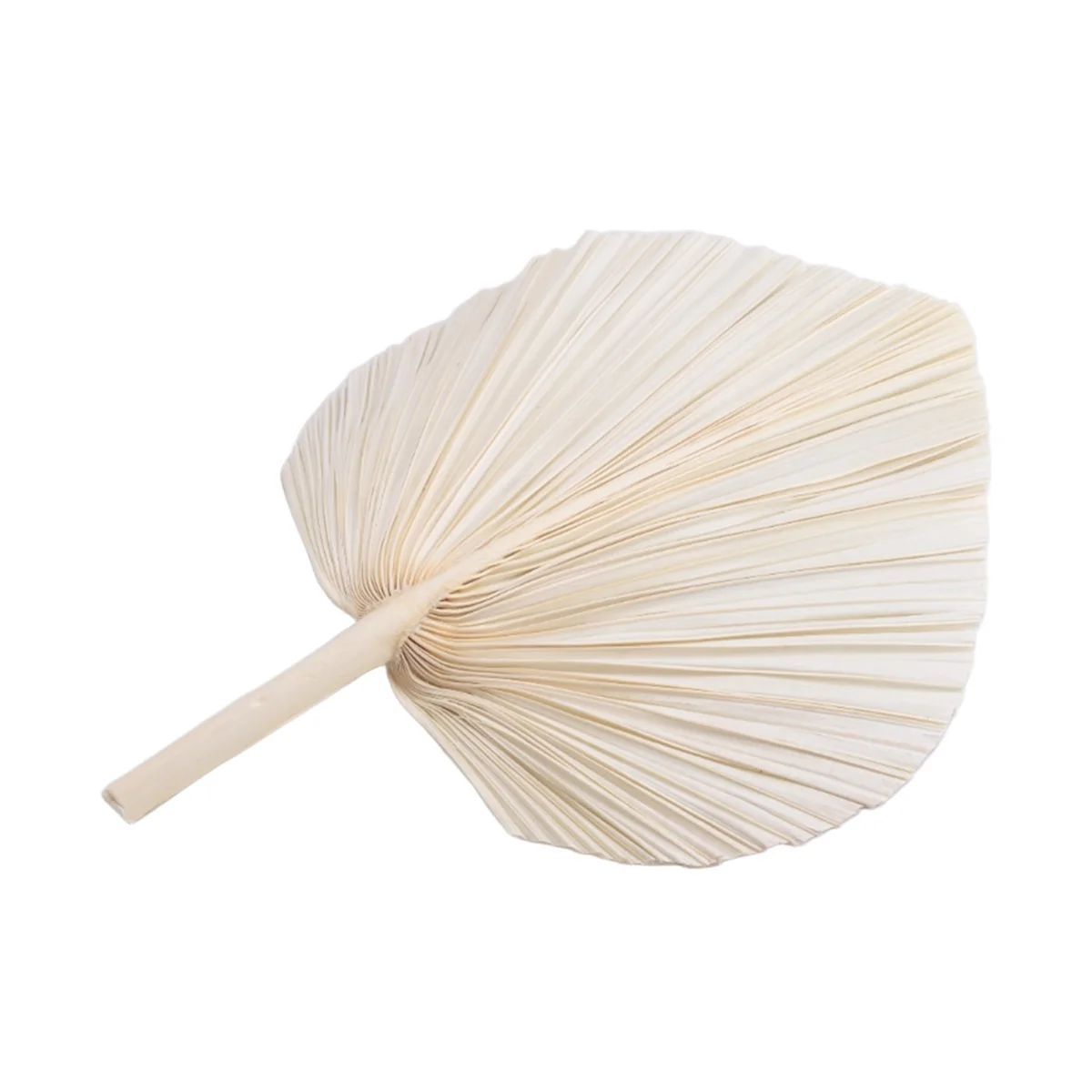 Folhas de palmeira secas brancas qualitativas grandes - qualidade premium - 3 peças elegantes e modernas de decoração boho para casa e casamento - arte de parede