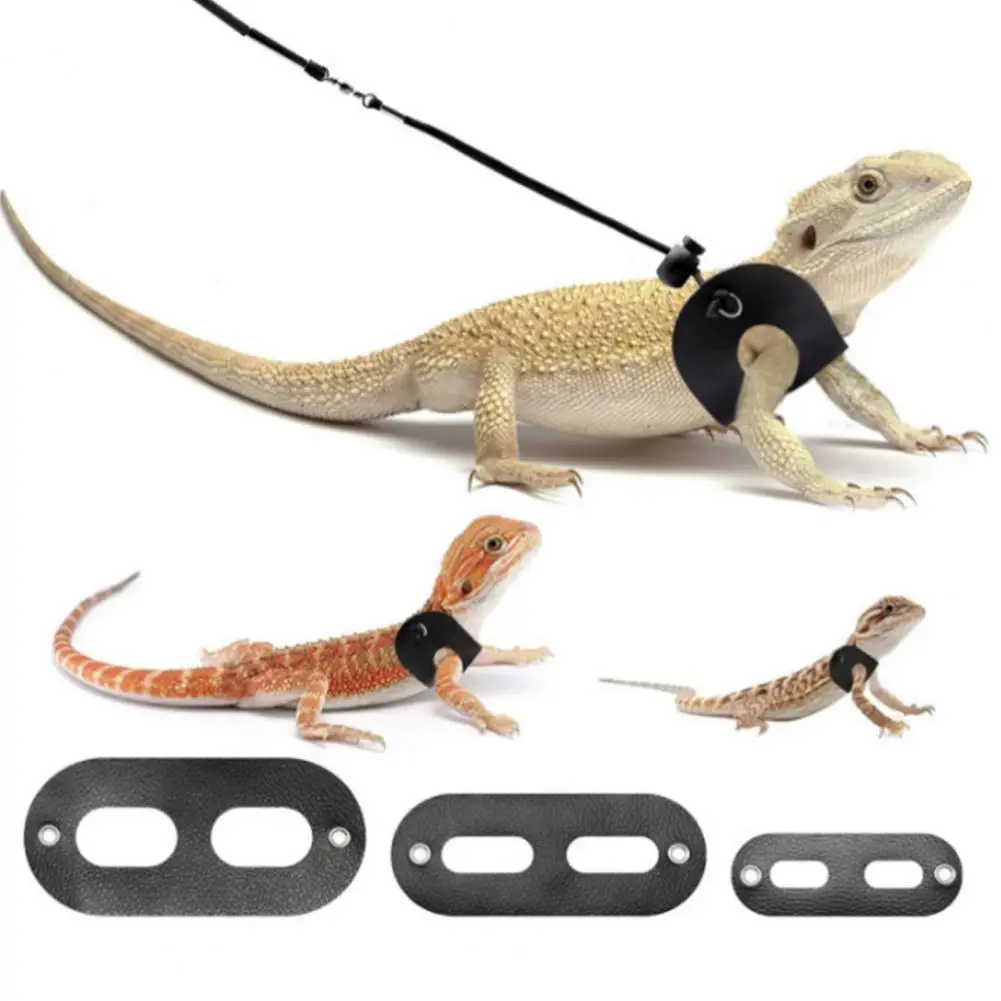 Durable Portable Pet Lizard Traction Leash Reptile Traction Rope Wear-resistant Reusable Reptile Leash Pet Accessories