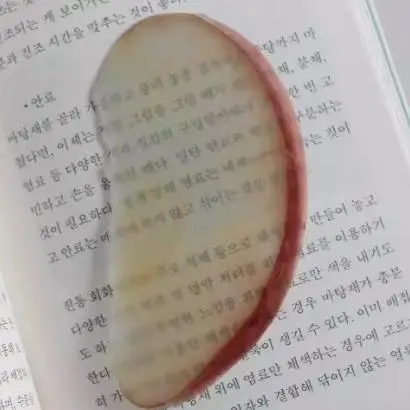 1 шт., креативная закладка на ломтик яблока с имитацией забавного дизайна, Sense для INS, фиксированная книга, фотография, мультяшная милая закладка для заметок