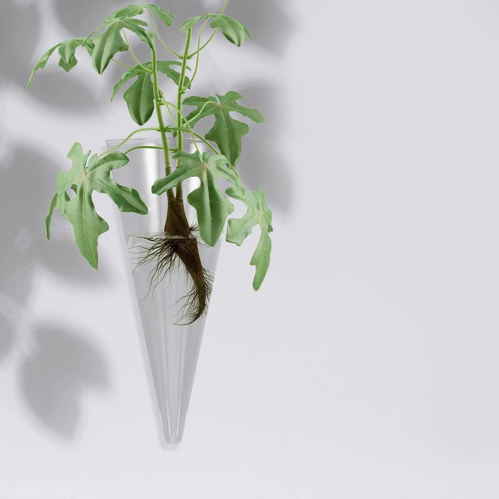 

Glass Wall Hanging Vase for Plants Clear Cone Hydroponic Planter Wall Mounted Flower Holder for Living Room Bedroom Decor