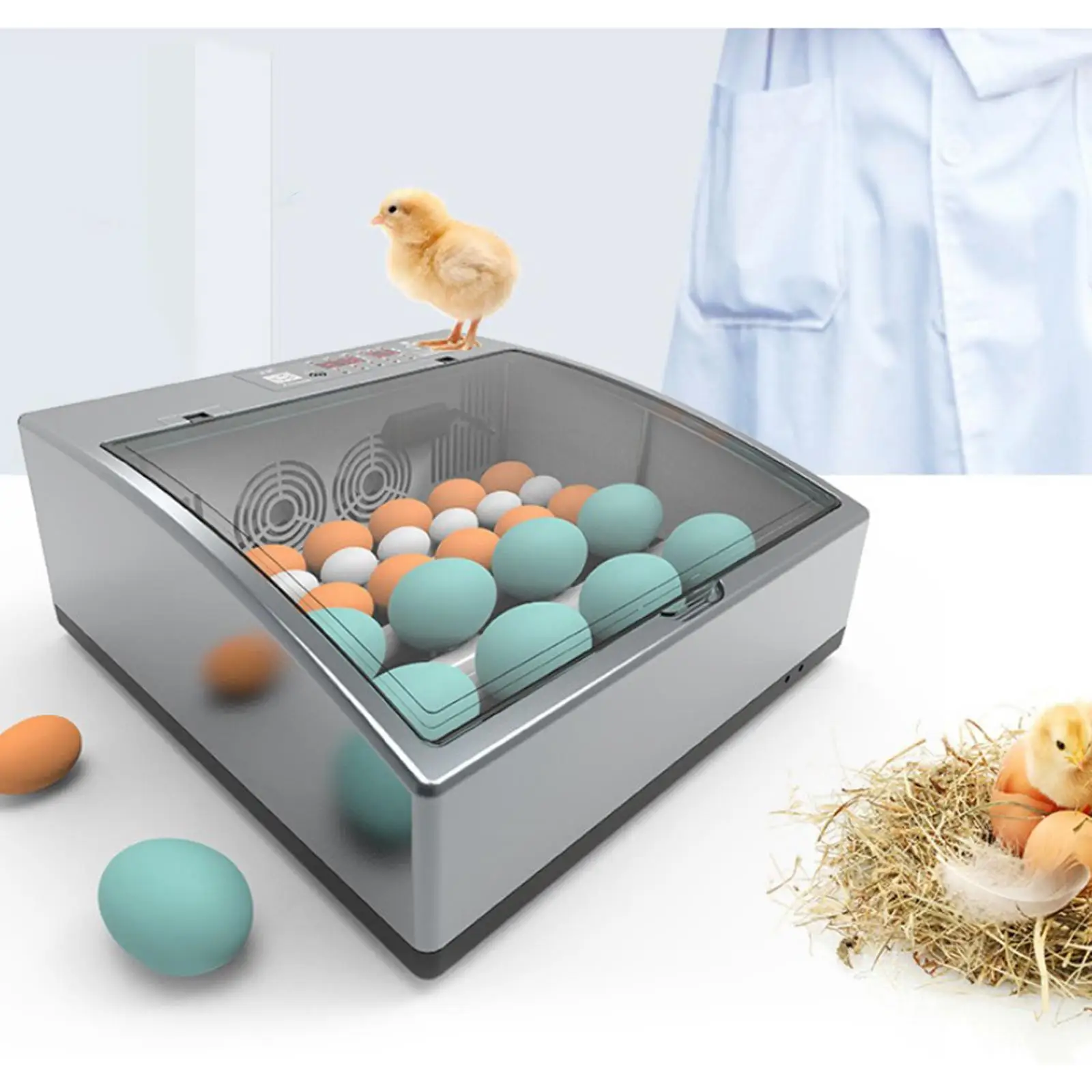 

US 110V Eggs Incubator Brooder Bird Quail Chick ery Incubator Poultry er Turner Automatic Farm Incubation Tools