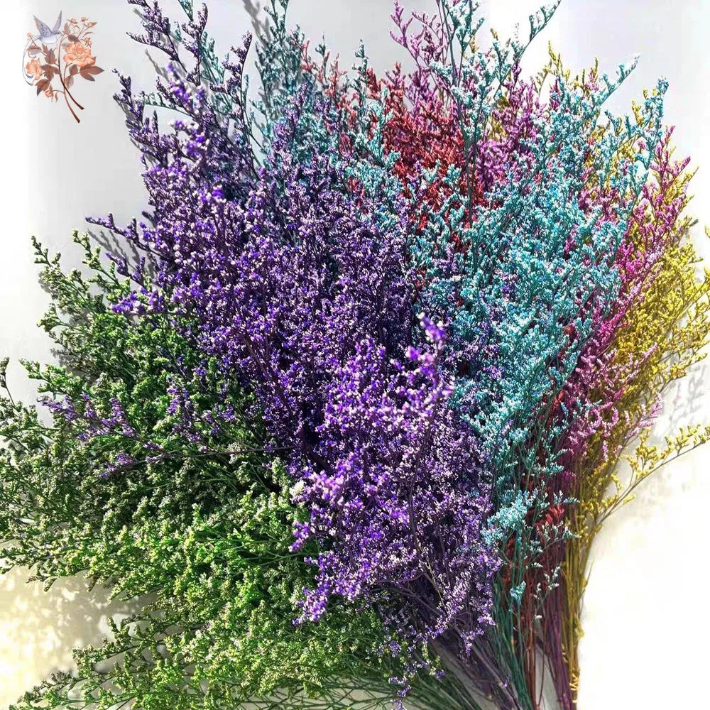 10Pcs Mix Limonium …