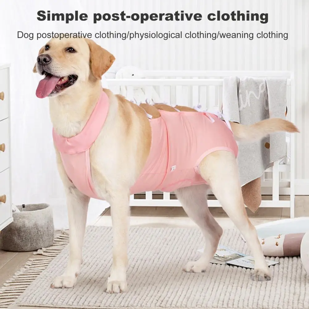 Pet Abdominal Wound Dog Post surgery Suit Pet Surgical Suit for Dog Thigh Wound Recovery Male Female Dog for Spay