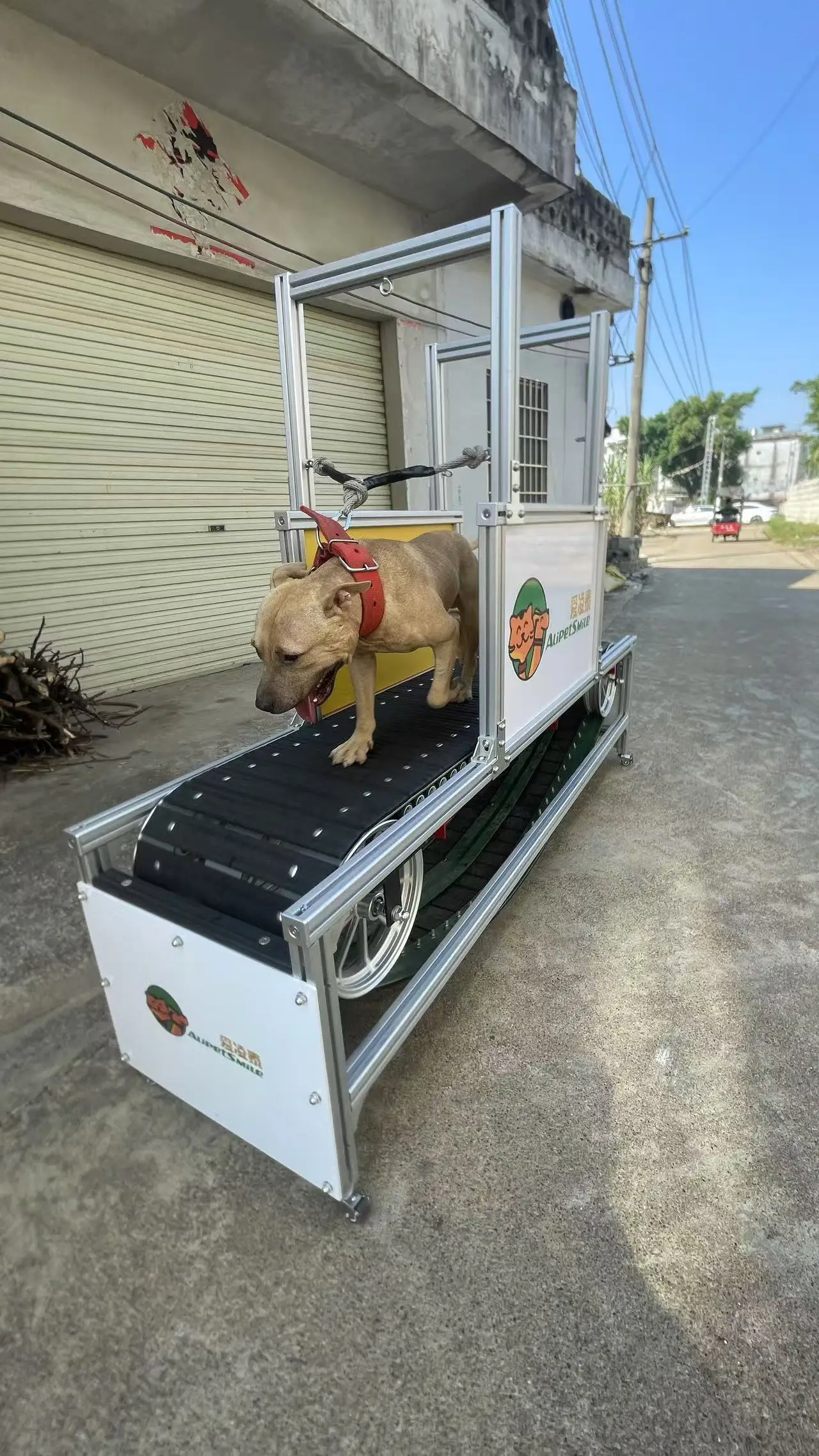 Professional Aluminum Alloy Dog Treadmill | No Powered Slatmill for Medium to Large Dogs Exercise | Indoor & Outdoor Use