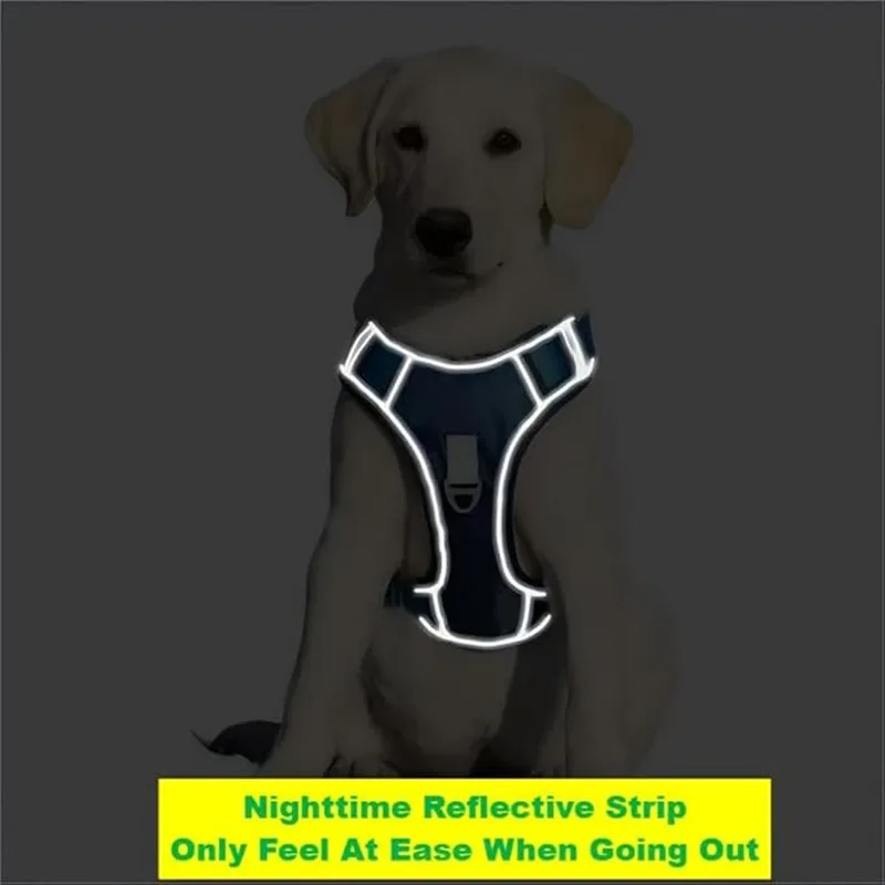 Bequemes Gehgeschirr für Hunde und Katzen mit ausziehbarer Blei, reflektierendem Nachtband, automatische Verriegelung und Schlepperkontrolle – Detail 3