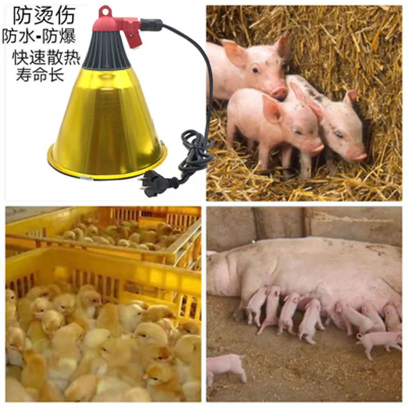 Electric Infrared Heating Light Lamp Shade With Lighting Bulb For Animal Husbandry Piglet Broiler Sheep Chicken Farm