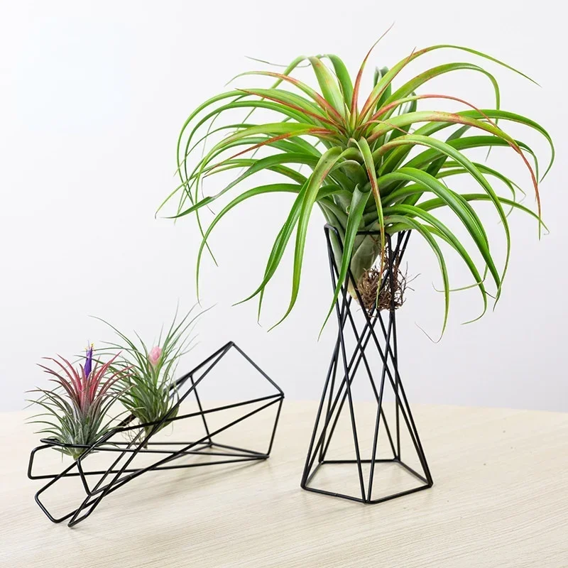 Nordic Style Air Plant Holder Metal Flower Pot Stand Geometric Iron Tillandsia Holder Table Home Garden Ornaments Flower Pots