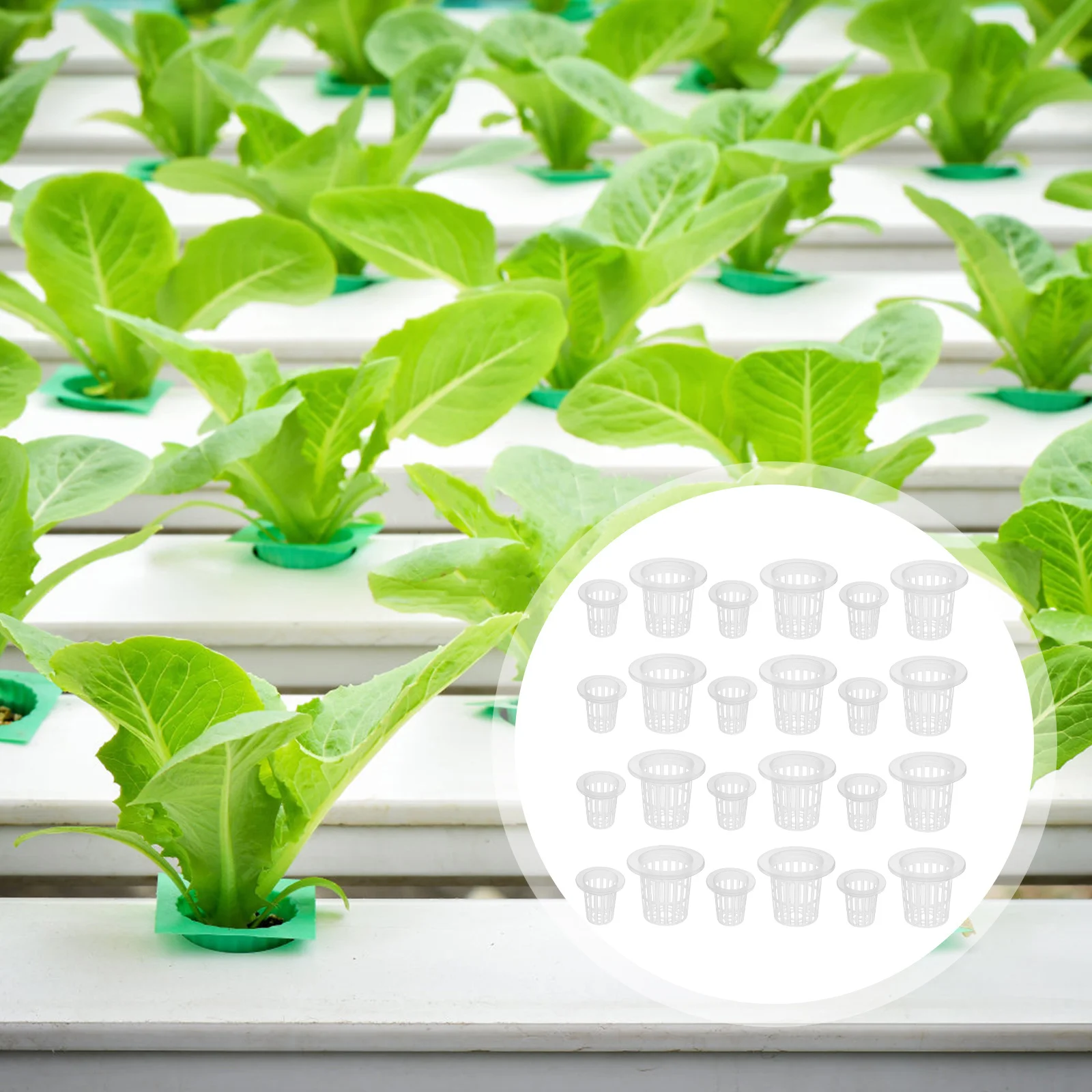 

60 Pcs Hydroponic Baskets for Vegetables Growth Durable Plastic Planting Cups Garden Supplies Lightweight Flower Pots