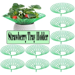 5PC Strawberry Bracket  Adjustable Strawberry Tray Plant Climbing Stand Support Tool