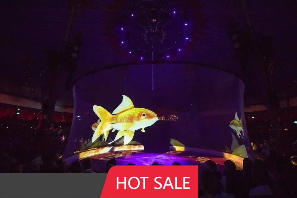 

Заводская цена 2025 НОВЫЙ голографический сетчатый экран для сценических выступлений 2X3 3X6 4X6M настраиваемый РАЗМЕР