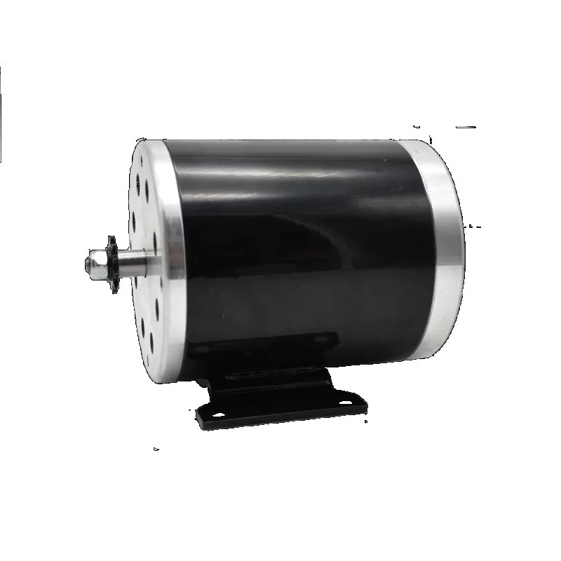 MY1020 Motor 500W 750W 1000W 24V 36V 48V Electric Shaka Kart Beach Electric Vehicle High Speed Brushed