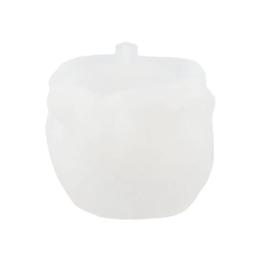 Soap Sea Shell Conc…