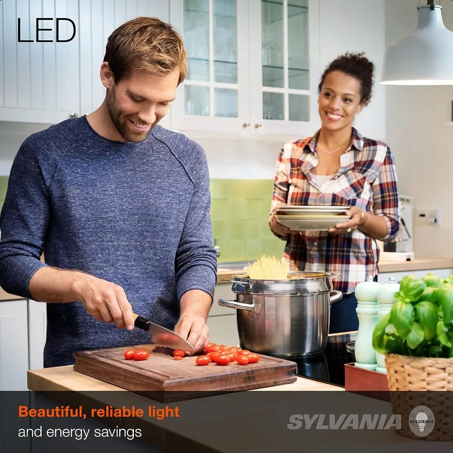 SYANIA ECO LED A19 Light Bulb 60W Equivalent Efficient 9W 7 Year 750 Lumens NonDimmable Frosted 5000K Daylight Pack of 24 40987