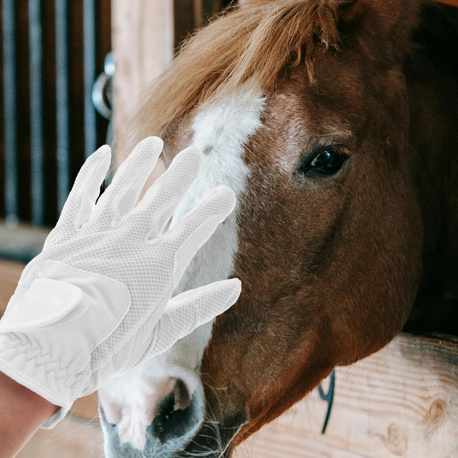 2 stks Paardenhandschoenen Paardensporthandschoenen Lichtgewicht Stier Rijhandschoen Antislip Duurzaam Outdoor Rijuitrusting Voor