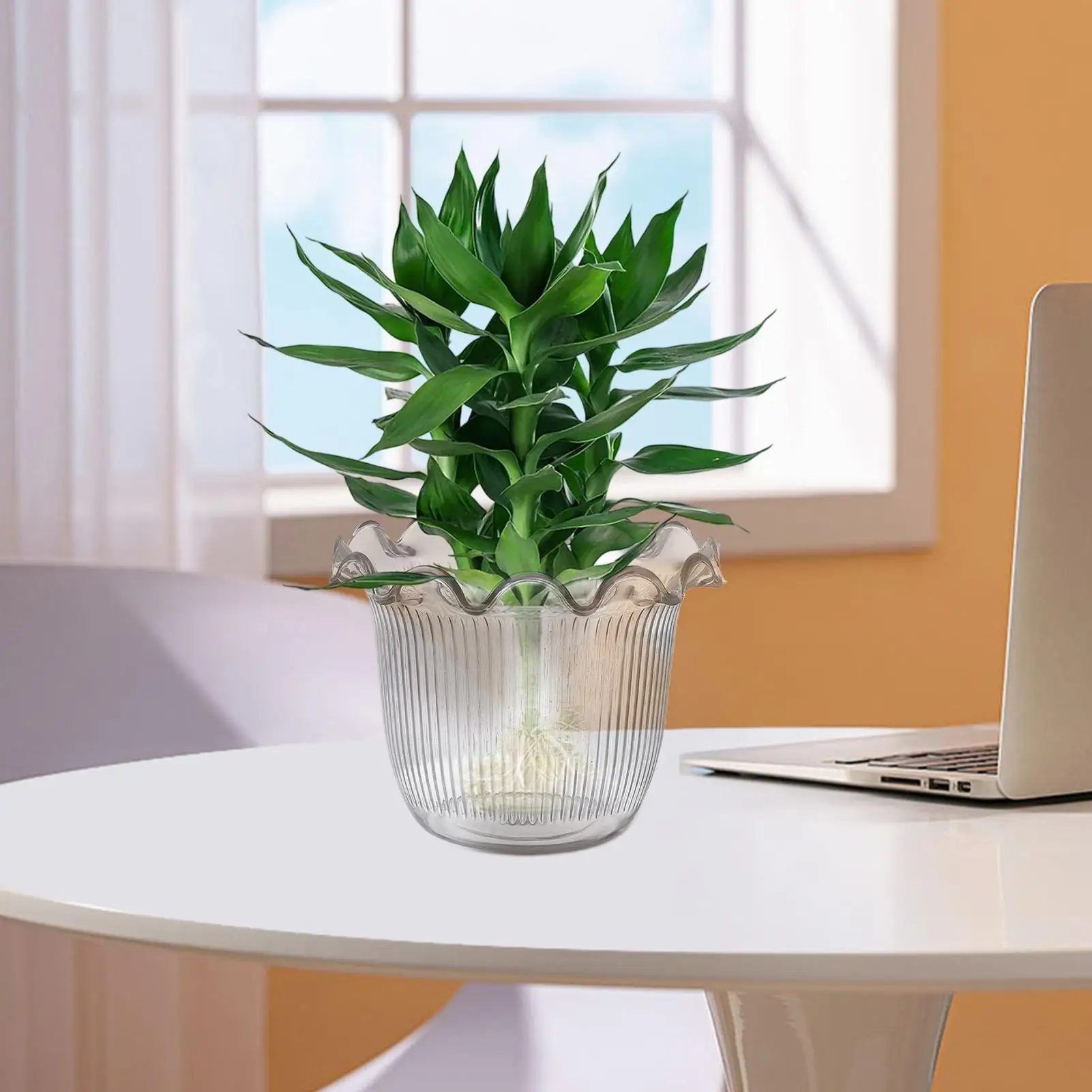 Clear Flower Vase Water Plant Vase Hydroponic Planter for Photo Backdrop Holiday Hotel Lobby Bookshelf Event Staging Workplace