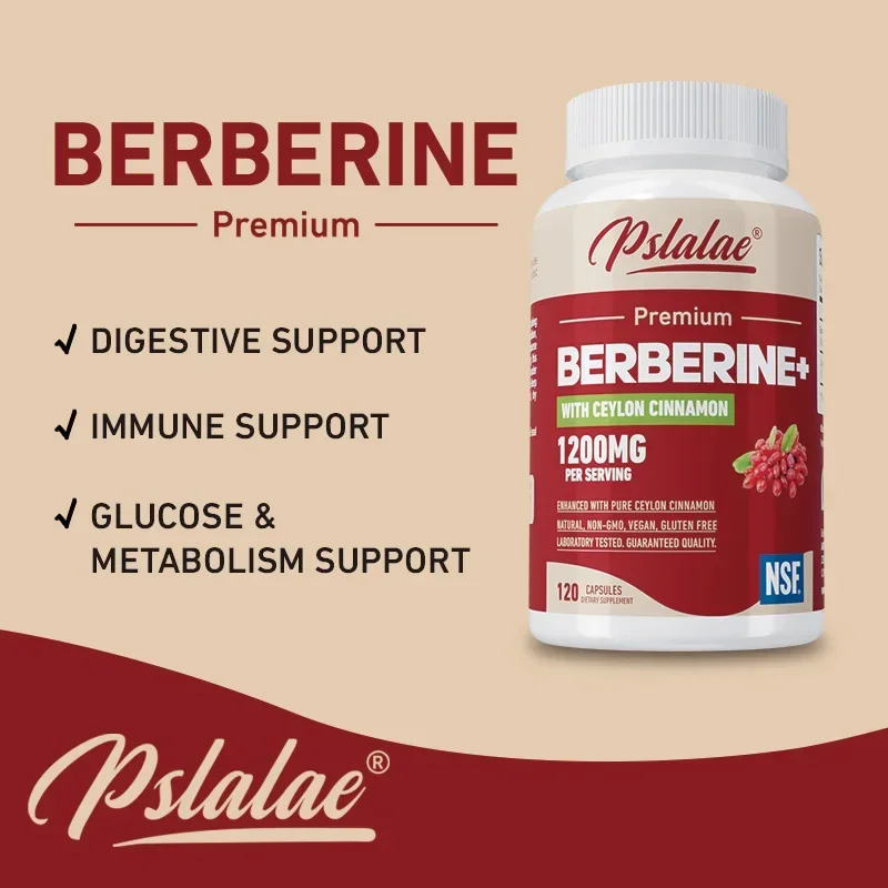 Berberine - High Absorption Heart Health Support, Digestive Health, Anti-inflammatory, Non-GMO