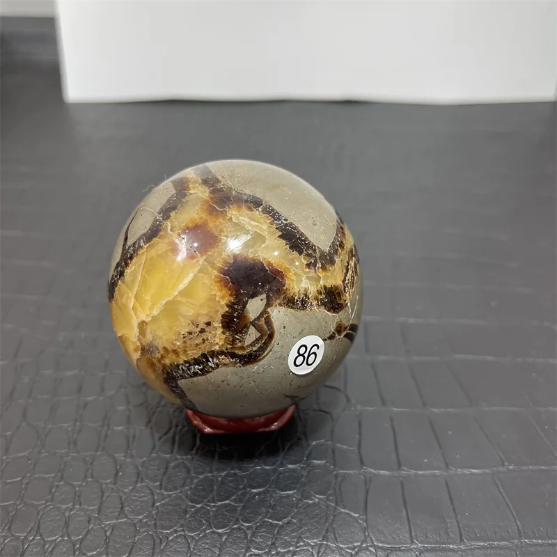 AAA Rare Natural Septarian Nodule  Crystal Nunatak Turtle Stone Ball