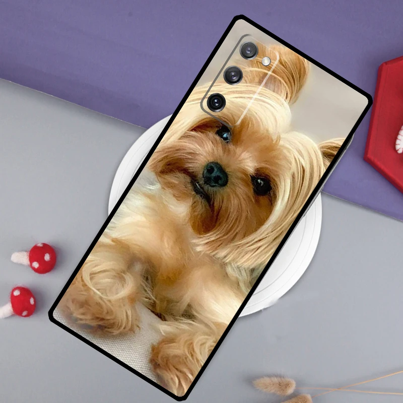 Yorkshire Terrier Dog Case For Samsung Galaxy S23 S22 Ultra S10 S9 Plus Note 20 S21 Ultra S20 FE S21 FE Back Cover