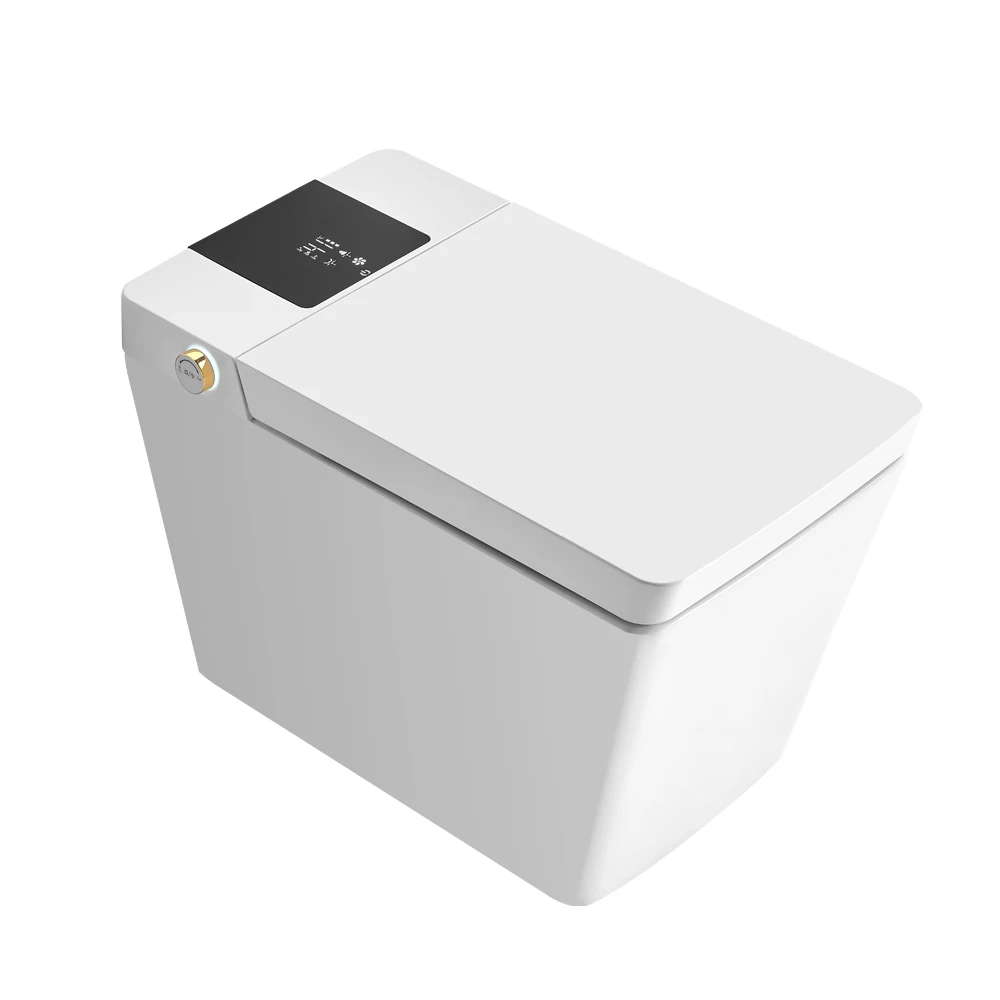 

High Quality Luxury Ceramic Auto Flush Electric Smart Toilet