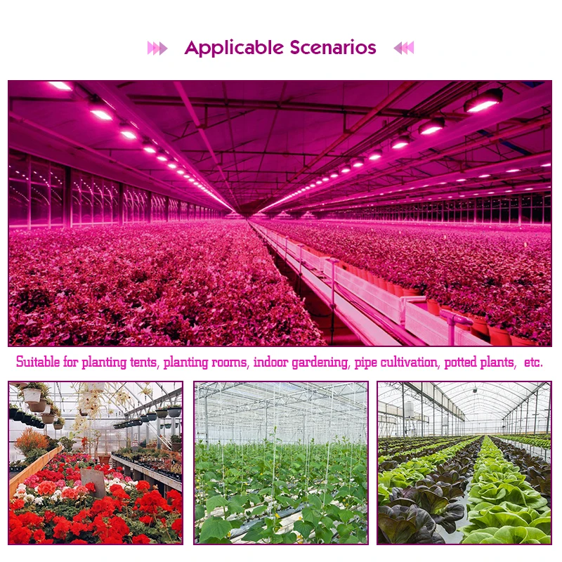 Imagem -06 - Full Spectrum Led Grow Light Phytolamps Lâmpada da Planta Hidropônico Estufa Sementes Flor Crescer Iluminação ac 220v 50w 100w