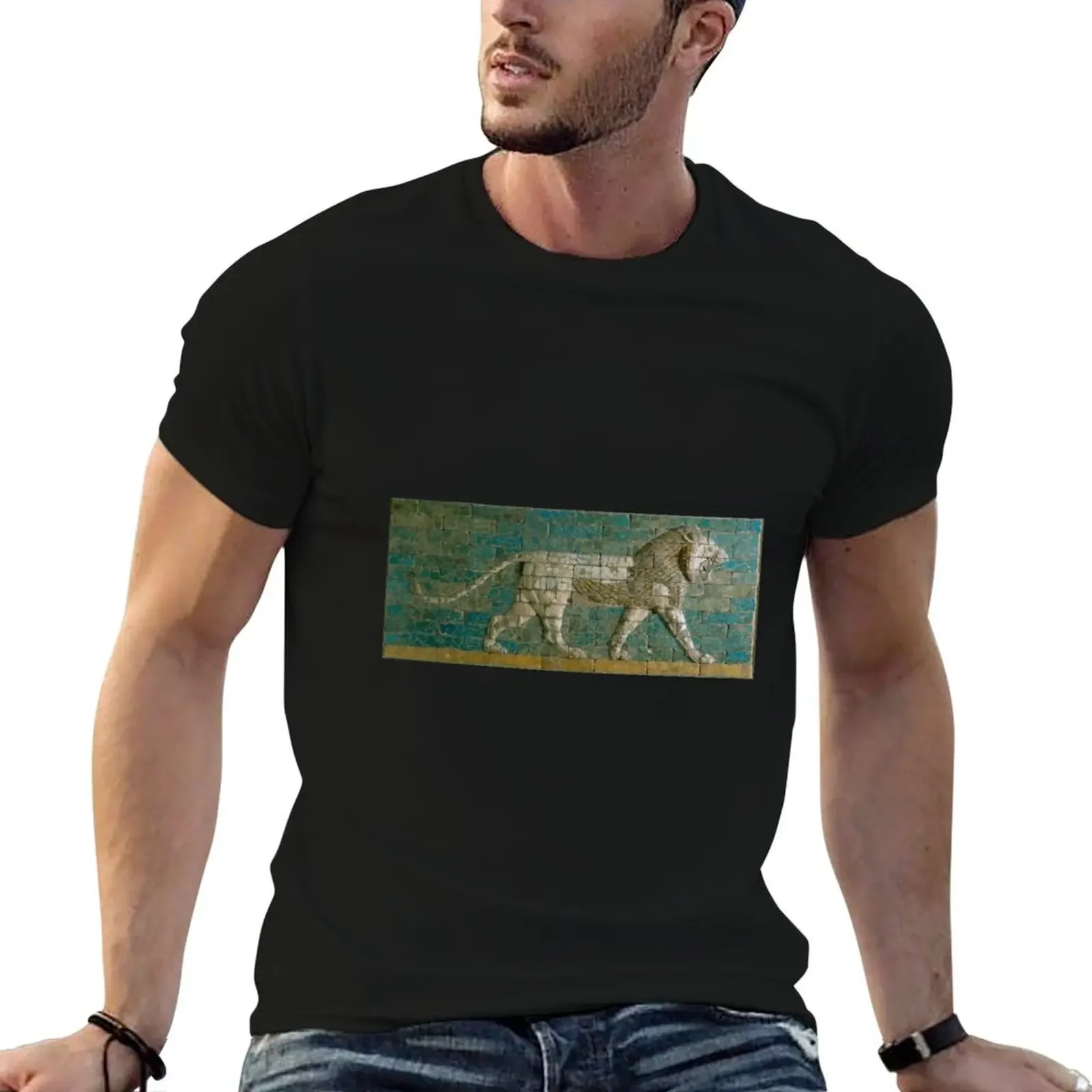 Ancient Babylonian Lion Wall Panel T-Shirt animal prinfor boys blue archive tee shirts for men