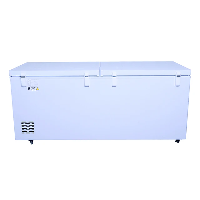 12V DC Solar Powered Chest Freezer with Single Sliding Door for Home RV Use Fish Vegetable Fruit & Ice Cream Storage
