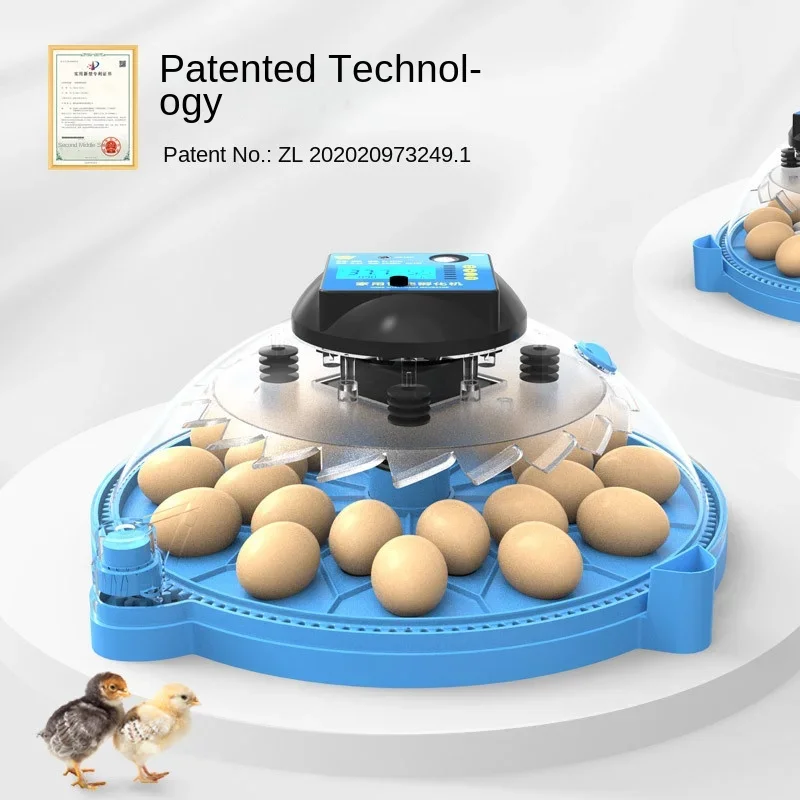 

Automatic Home Chick Incubator Gentoo Parrot Rutilated Chicken Small Flying Saucer