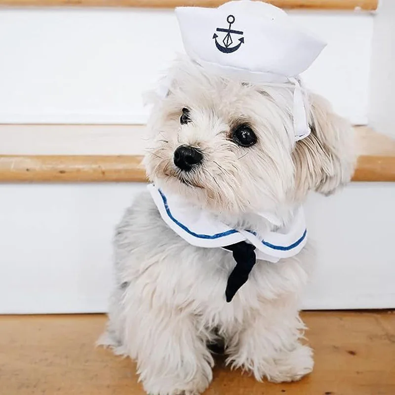 Lustige Haustier-Katzenkostüme, kleiner Hund, Kaninchen, Bekleidung, Kleidung für Halloween, Cosplay, Marineblau, Matrosenkleidung, Jacke, Umhang, Hundezubehör