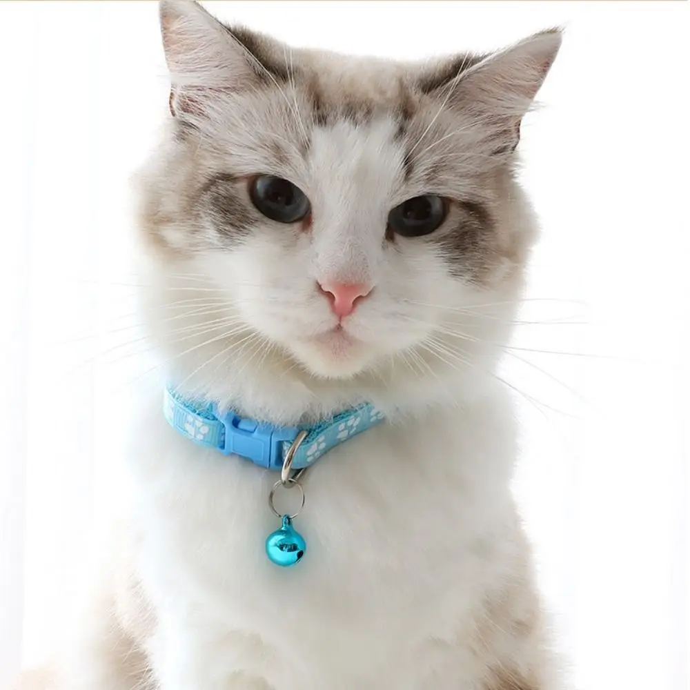 

Polyester Cat Harness and Leash Set Paw Pattern Colorful Dog Harness Belt Detachable with Bell Pet Walking Vest Kitten