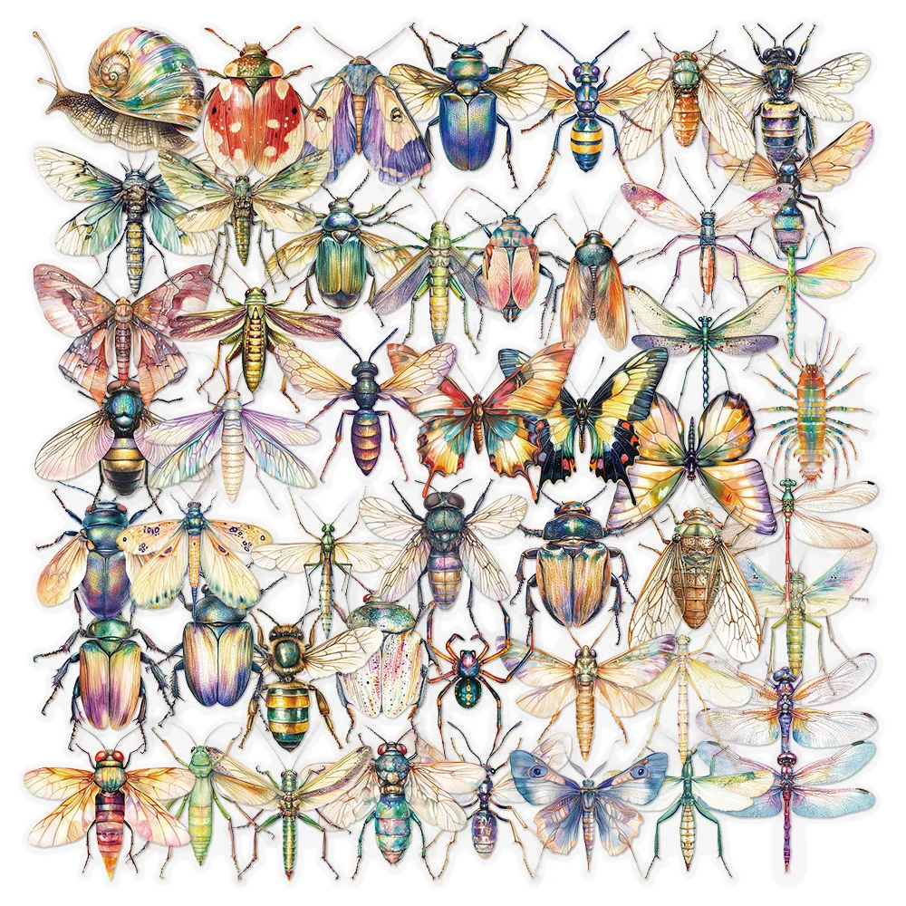 50pcs Insect Watercolor Painting Stickers  Transparent PET S