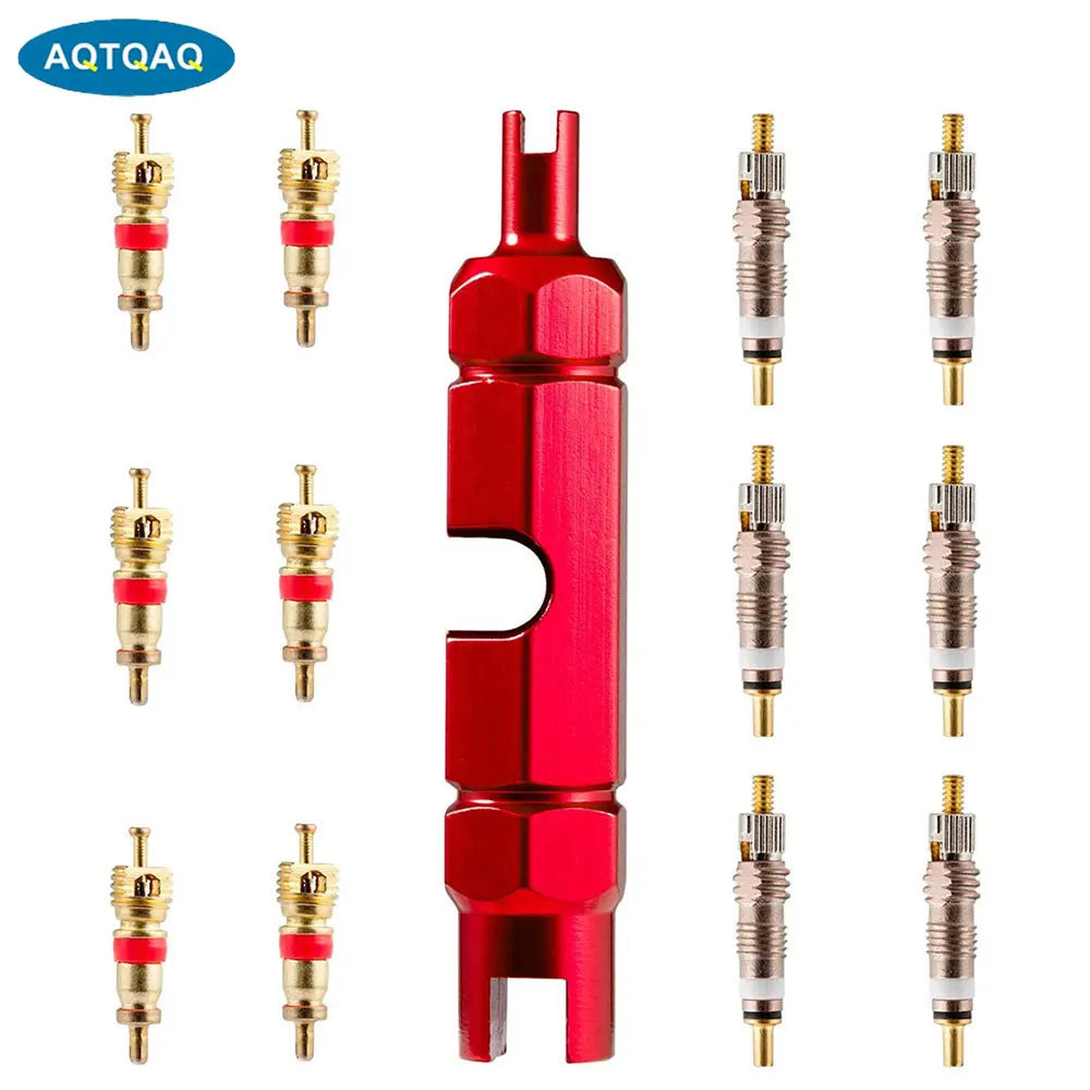 AQTQAQ 1 Set Car Valve Core Repair Tool with Brass Replacement Presta and Schrader Valve Core, Valve Core Remover Tool Kit