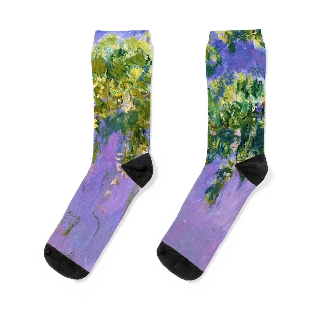 Claude Monet Wisteria, 1920 (left side) Socks hiking cute Non-slip kawaii Boy Child Socks Women's