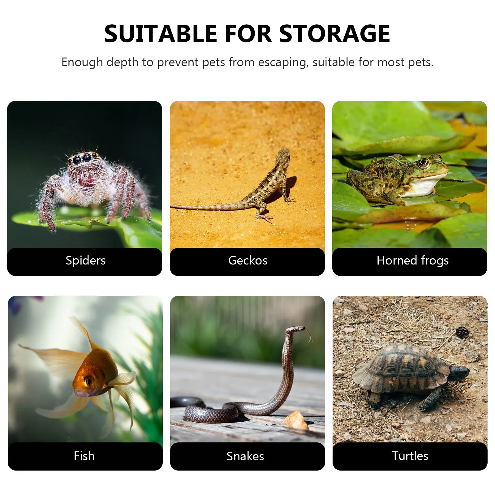 

Semi-Transparent Turtle Tank Large Capacity Multi-Function Household Reptile Cage Plastic Tortoise Habitat Turtle Supply