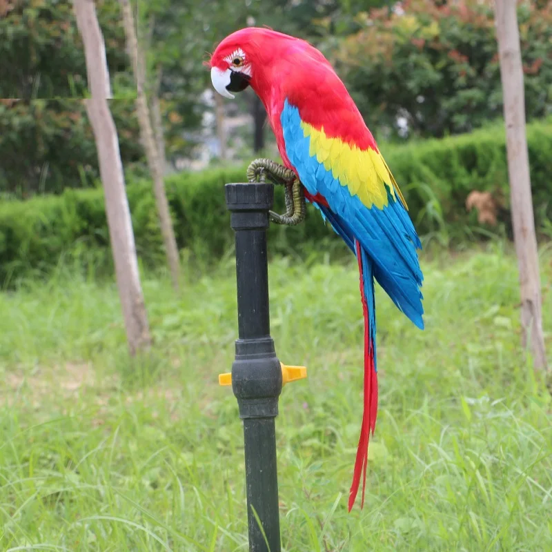 Foam&Feathers Parrot Bird About 48cm feathers Parrot Model Handicraft Garden Decoration Gift a2788