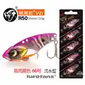 R50 -color 66