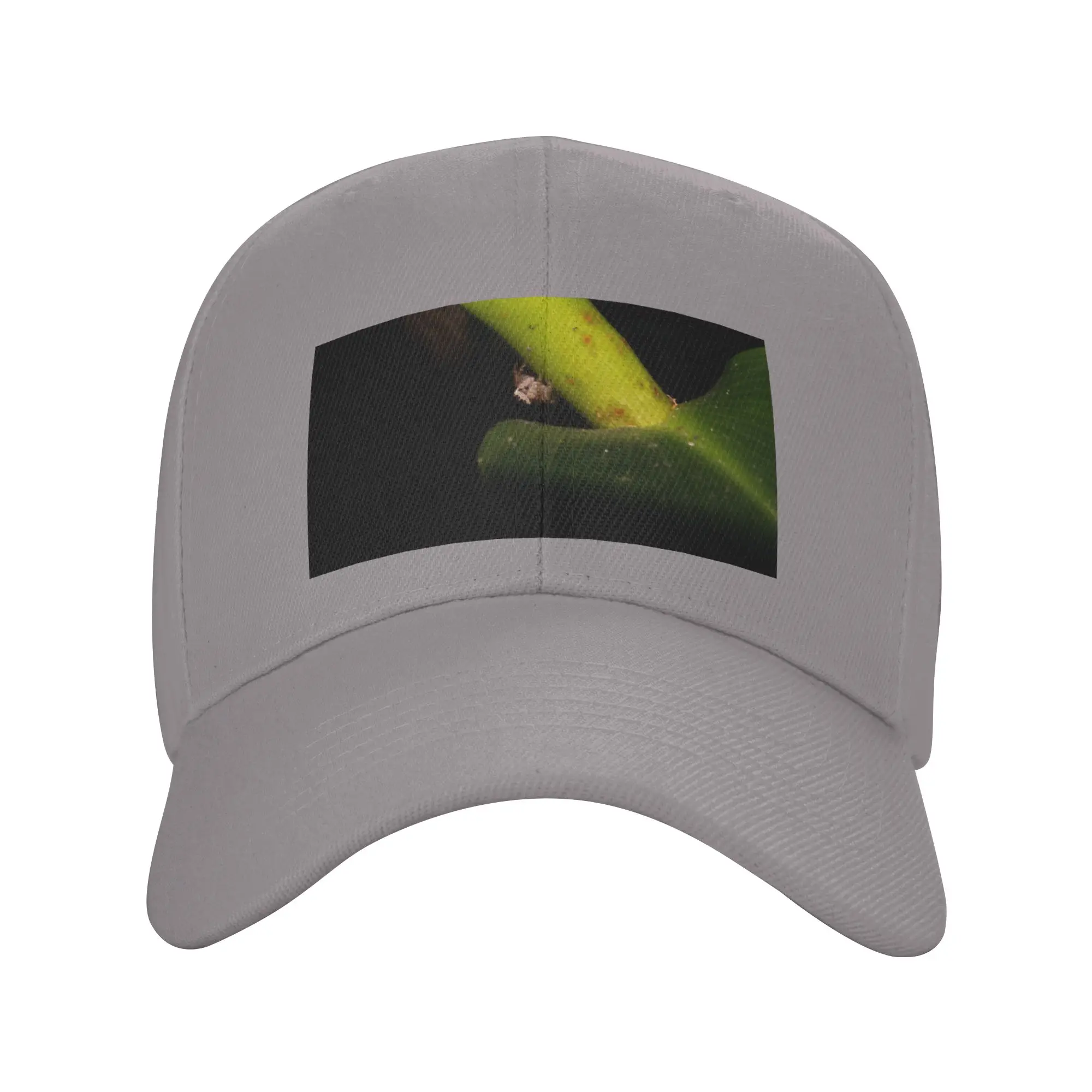 Jumping Spider 04 Trendy Baseball Cap Jogging Moisture Wicking Trucker Cap
