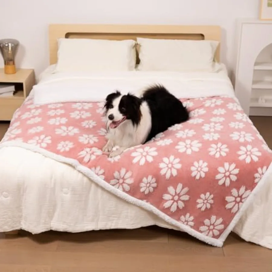 

Водонепроницаемое одеяло для собак, кошек или взрослых: милое 3D-текстурированное одеяло с цветами для кровати, дивана, софы, мягкое, непромокаемое, для защиты от жидкости и мочи, для домашних животных