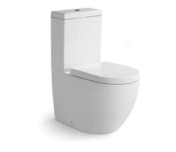 CE certificate product good quality bathroom wc water closet morden white dual flush toilet with soft close seat toilet