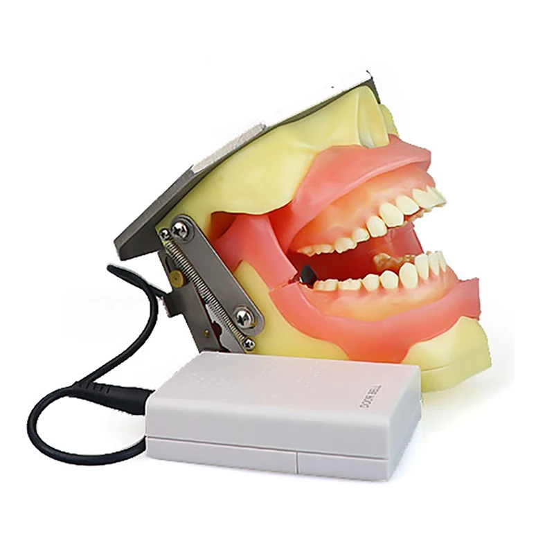 Oral Local Anesthesia Teaching Practice Training Model Electronic Feedback Audio Visual Indicators Smart Simulator