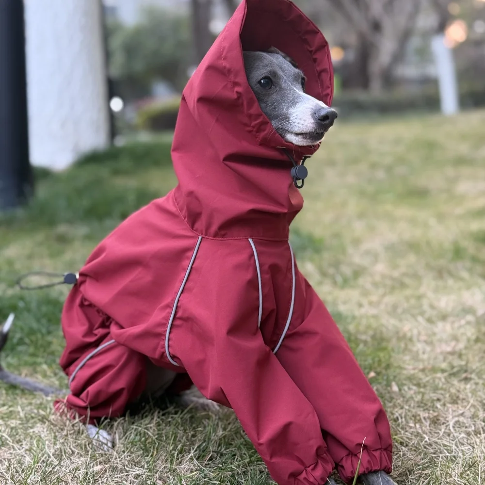Frühling Sommer Blauer Regenmantel für Italienische Windhunde Winddichte Wasserdichte Jacke mit Rotem Reißverschluss für Whippets Reflektierender Streifenmantel – Detail 16