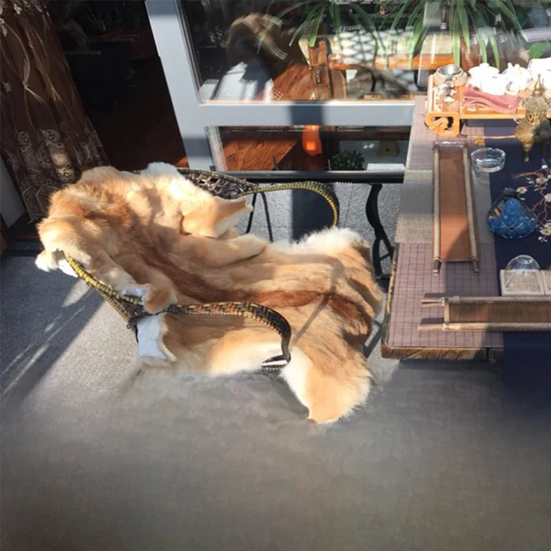

Whole Wolf Skin Simulation Animal Skin Sample Sofa And Chair Pad Inteated Skin And Hair Animal Model Cuion for Car