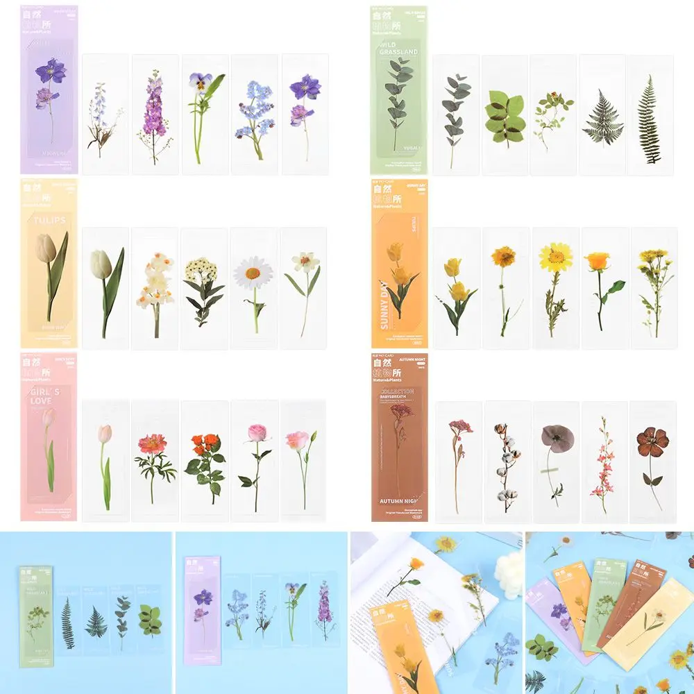 Markers Reading Mark Leaf Vein Page Holder PET Nature Plants Bookmarks Translucent Flower Bookmarks Card Specimen Bookmarks